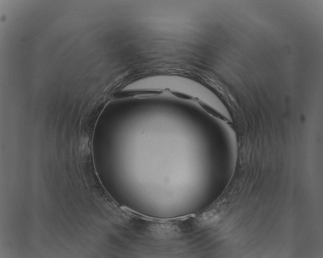 X0000089660521200707121202