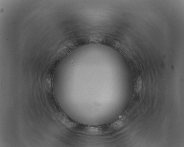 X0000089660522200707121202