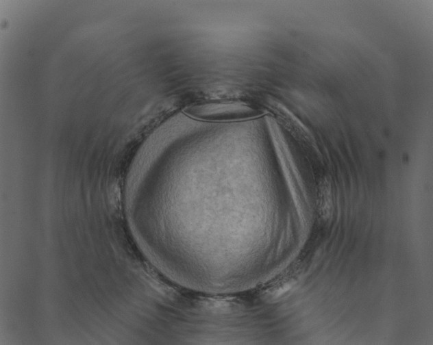 X0000089660523200707121202