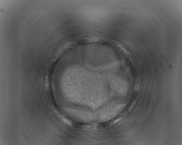 X0000089660524200707121202