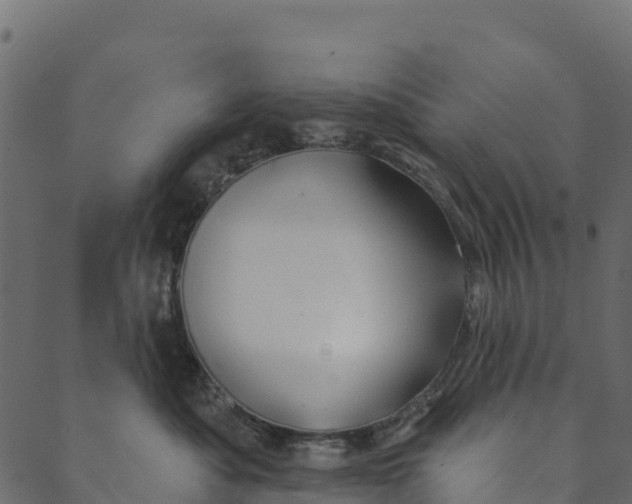 X0000089660525200707121202