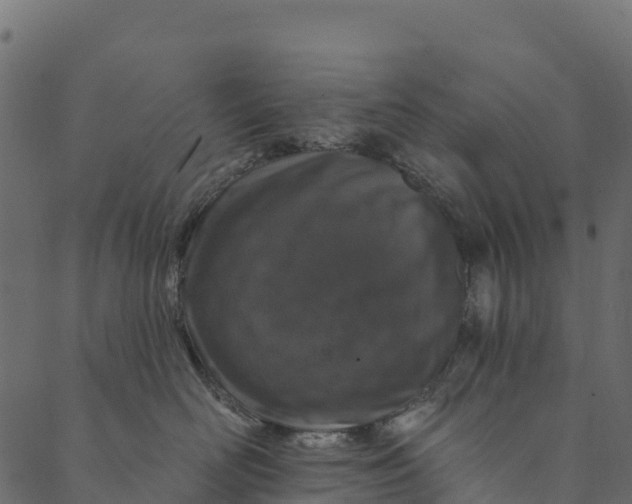 X0000089660526200707121202