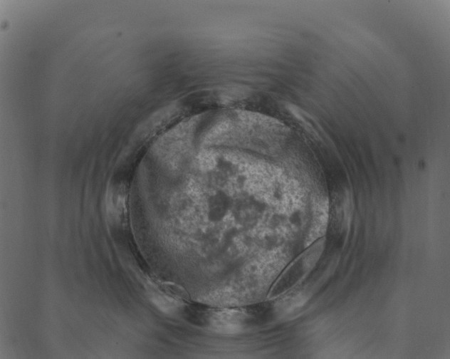 X0000089660527200707121202