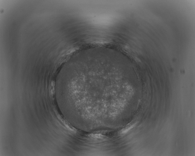 X0000089660528200707121202