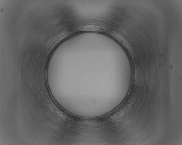 X0000089660529200707121201