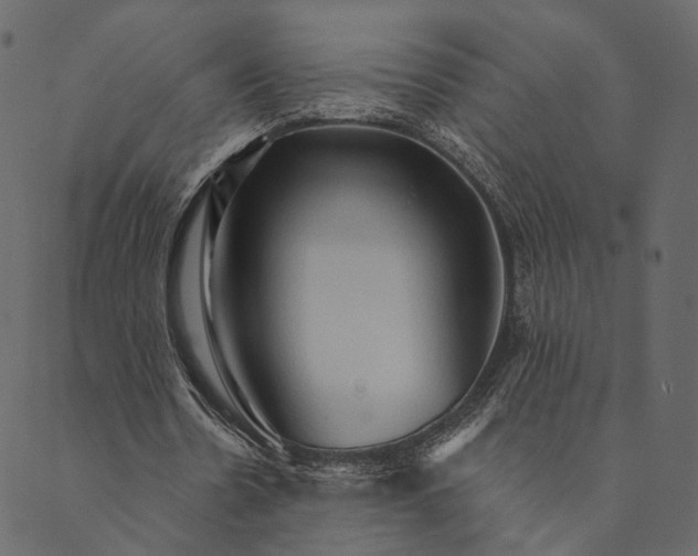 X0000089660530200707121201