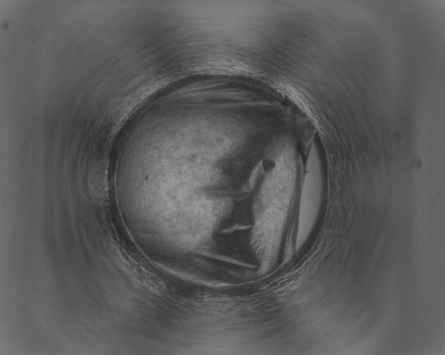 X0000089660531200707121201