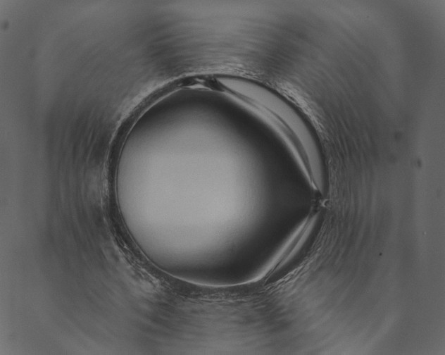 X0000089660532200707121201