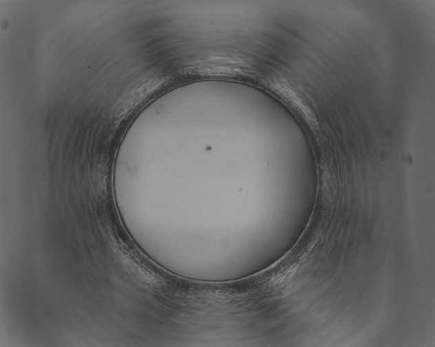 X0000089660533200707121201