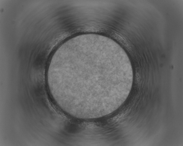 X0000089660534200707121201