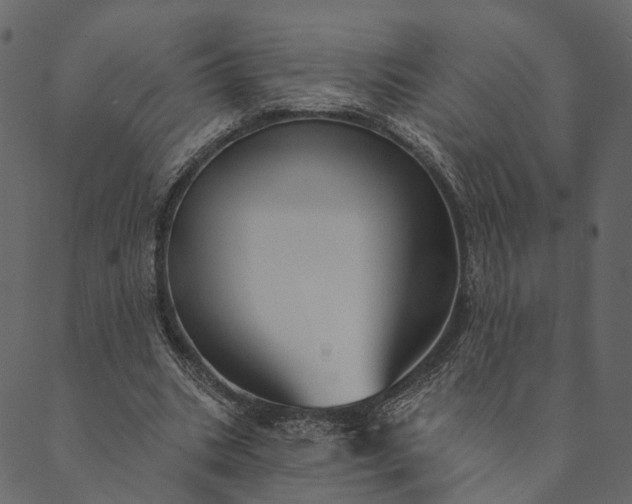 X0000089660535200707121201