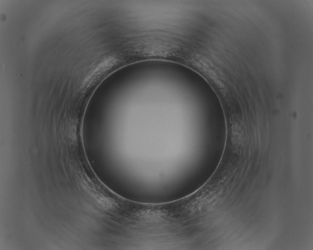 X0000089660537200707121201