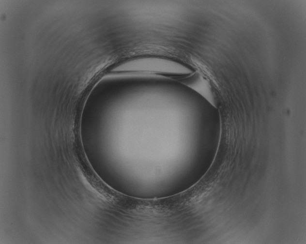 X0000089660538200707121201