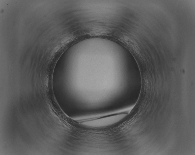 X0000089660539200707121201