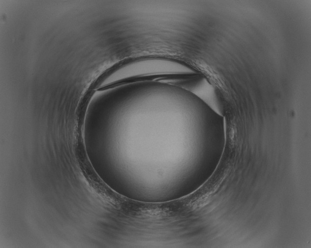 X0000089660540200707121201