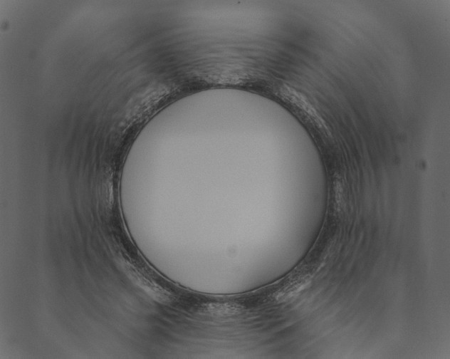 X0000089660541200707121201