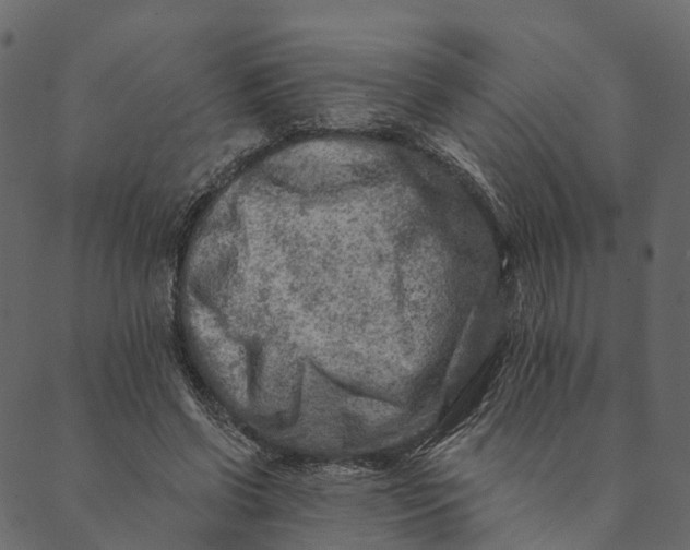 X0000089660542200707121201