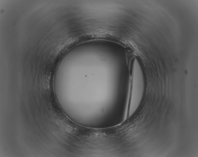 X0000089660543200707121201