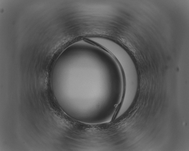 X0000089660544200707121201