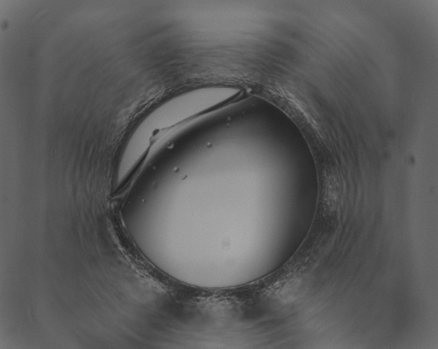 X0000089660545200707121201