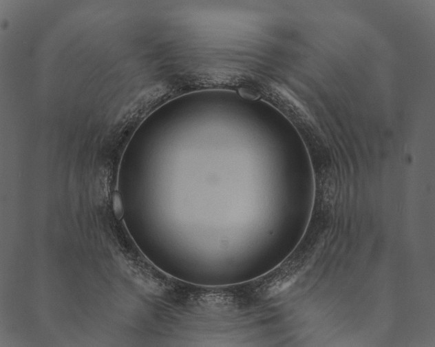 X0000089660546200707121201