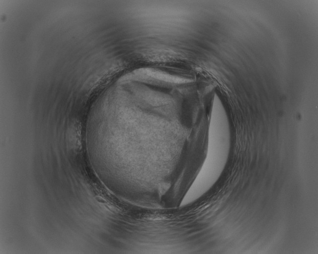 X0000089660547200707121201