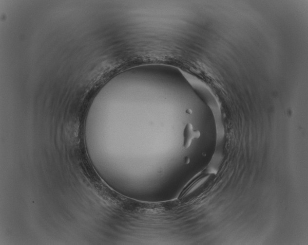 X0000089660548200707121201