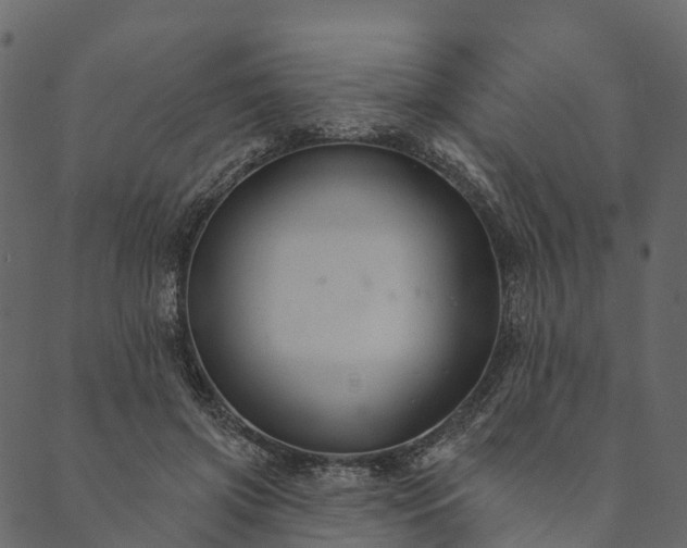 X0000089660549200707121201