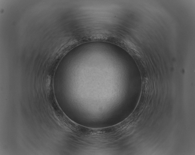 X0000089660550200707121201