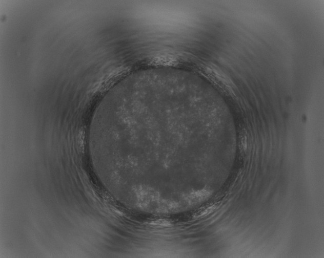 X0000089660551200707121201