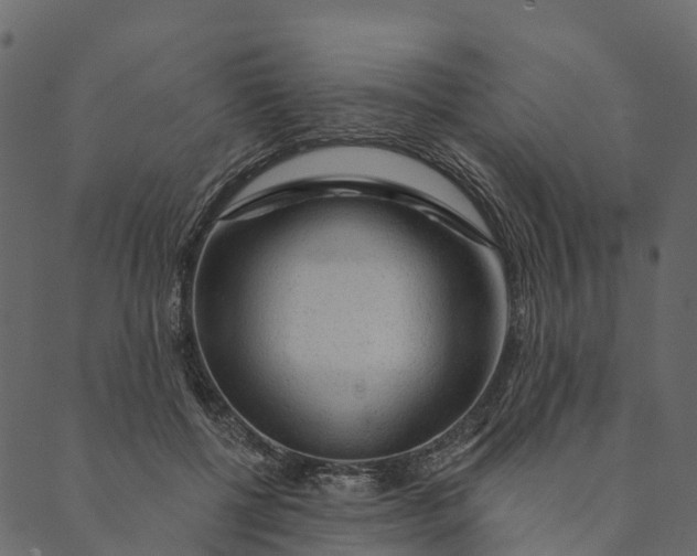 X0000089660552200707121201