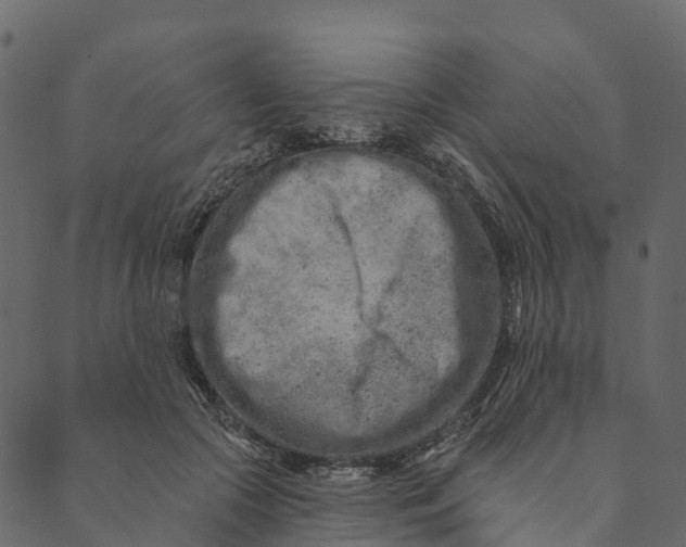 X0000089660553200707121201