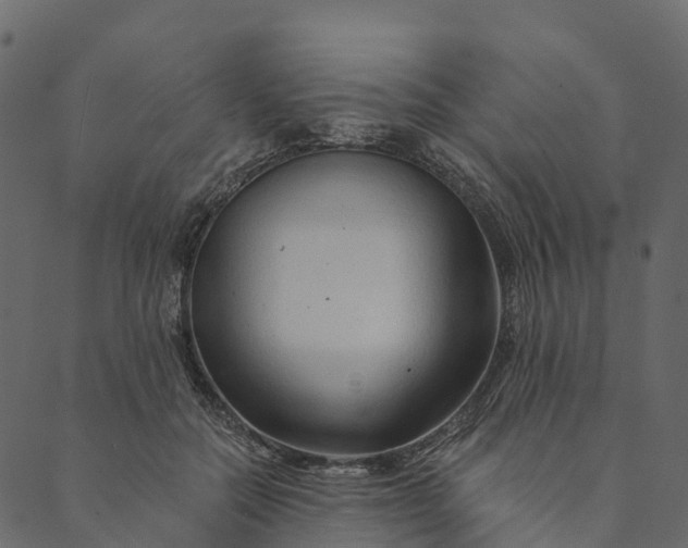 X0000089660554200707121201