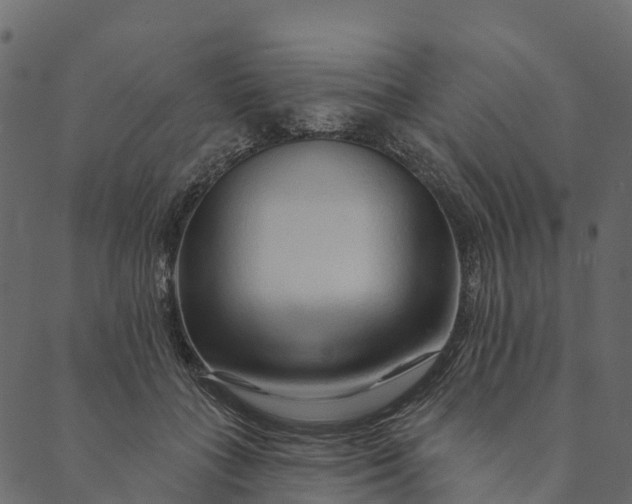 X0000089660555200707121201