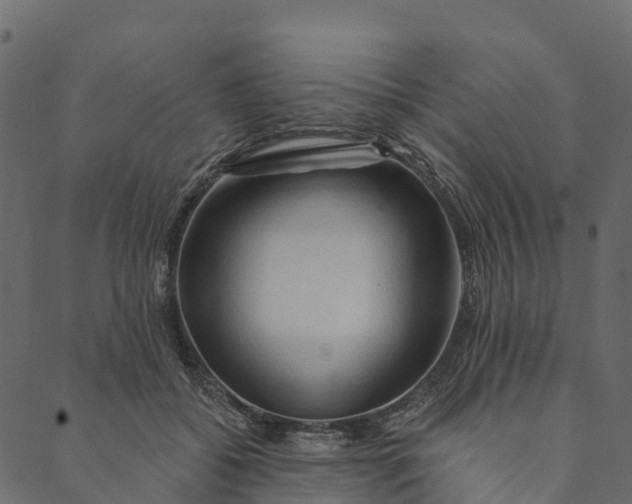 X0000089660556200707121201