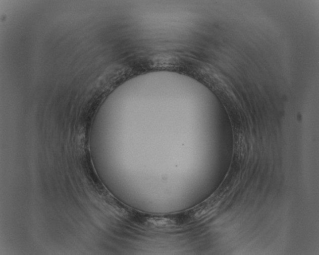 X0000089660557200707121201