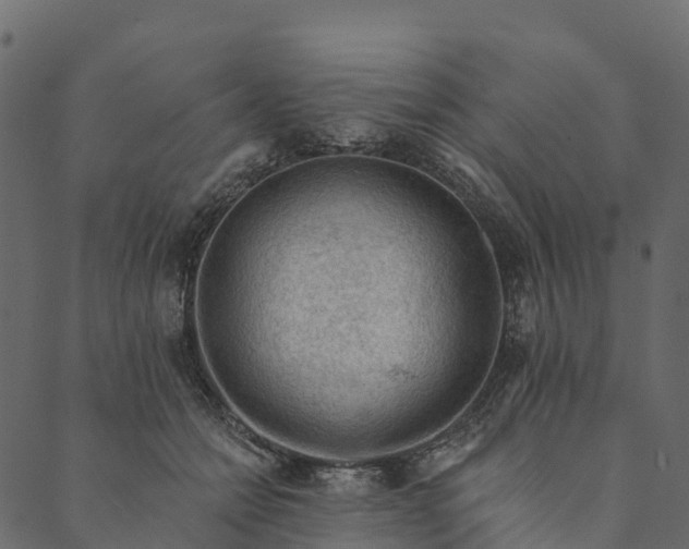 X0000089660558200707121201