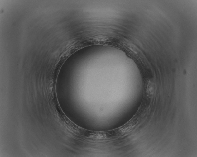 X0000089660559200707121201