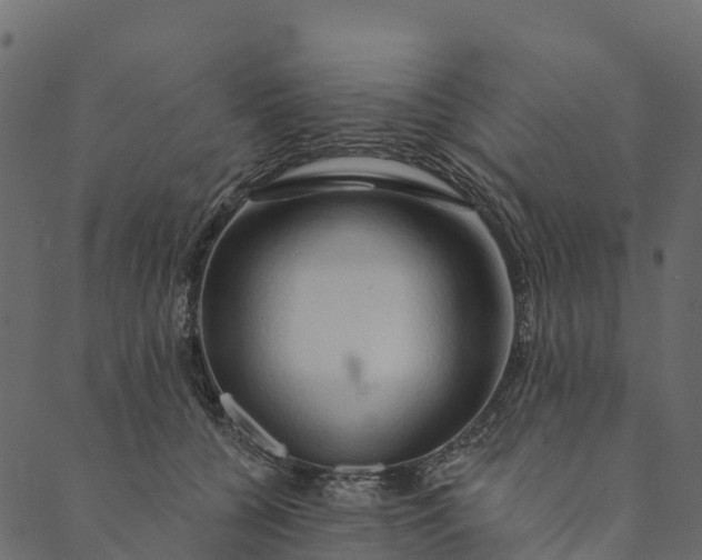 X0000089660560200707121202