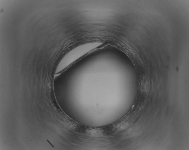 X0000089660561200707121202