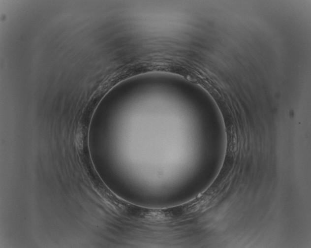 X0000089660562200707121202