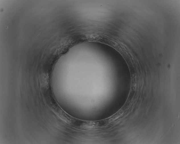 X0000089660563200707121202