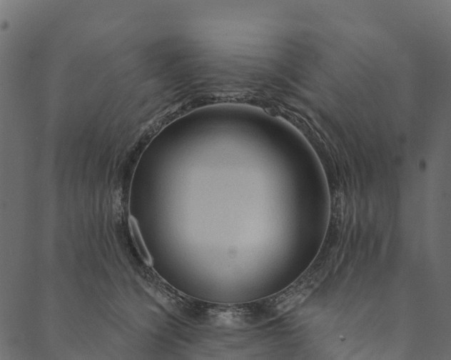 X0000089660564200707121202