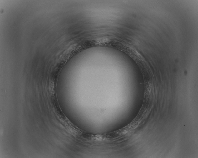 X0000089660565200707121202