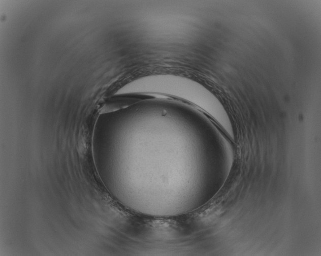 X0000089660566200707121202