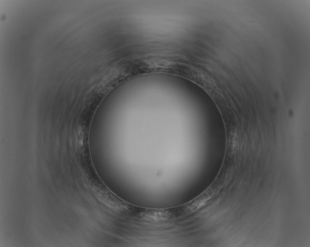 X0000089660567200707121202