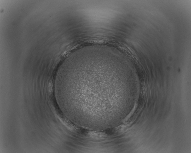 X0000089660568200707121202