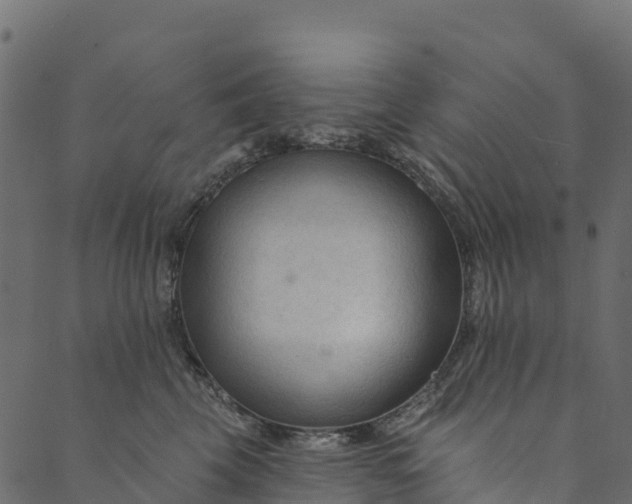 X0000089660569200707121202