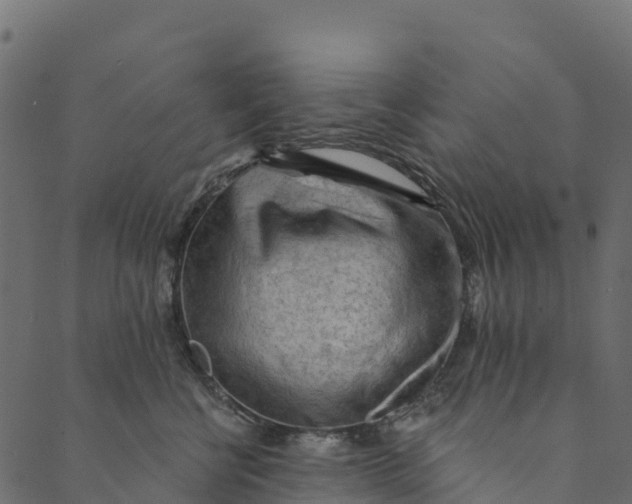 X0000089660570200707121202