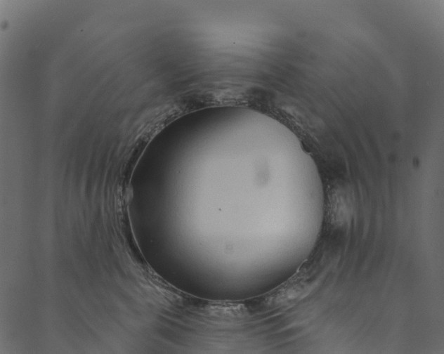 X0000089660571200707121202